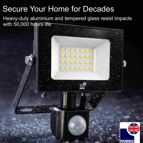 Morris Remote Control LED Floodlight 30w  6500K