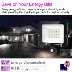 Morris Remote Control LED Floodlight 30w  6500K Morris Remote Control LED Floodlight 30w  6500K