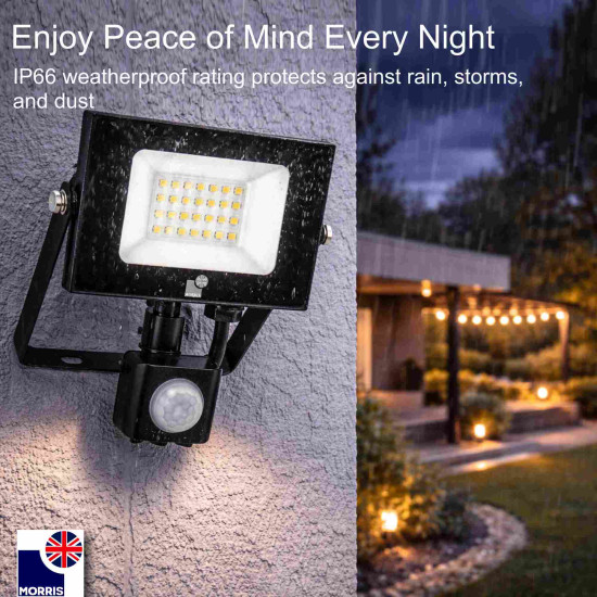 Morris Remote Control LED Floodlight 30w  6500K