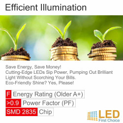 Morris 6ft T8 LED Coloured Tube Light