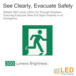 Morris LED Emergency Light Bulkhead Exit Morris LED Emergency Light Bulkhead Exit