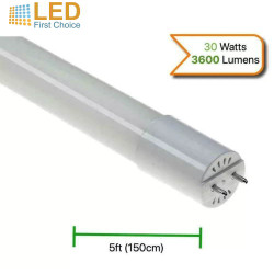 Morris LED T8 6ft LED Tube Lighting Single